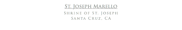 St. Joseph Marello
Shrine of St. Joseph
Santa Cruz, CA
